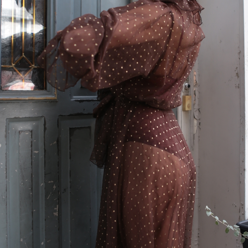 Vintage Sheer Polka Dot Dress - Picture 6 of 6